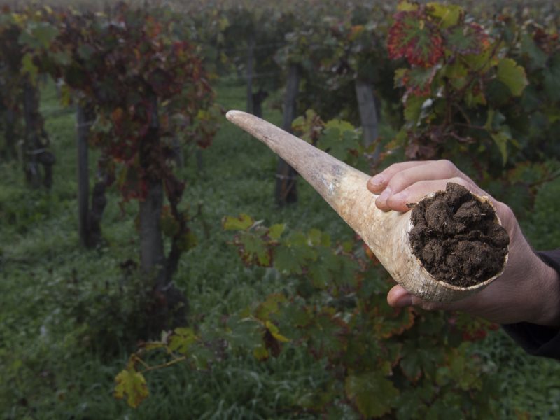 Biodynamic Farming