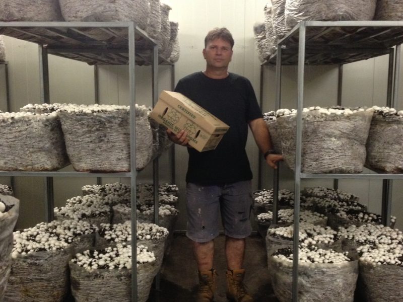 Benalla Mushrooms: Our supplier of certified organic mushrooms