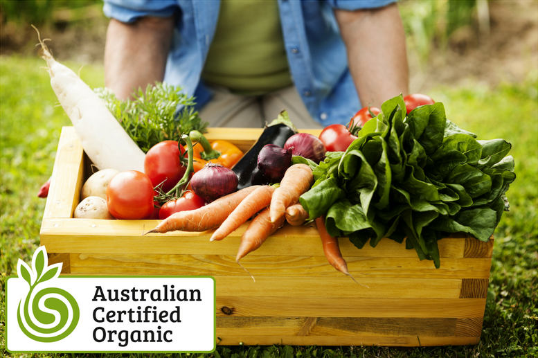Where can I buy Certified Organic products?