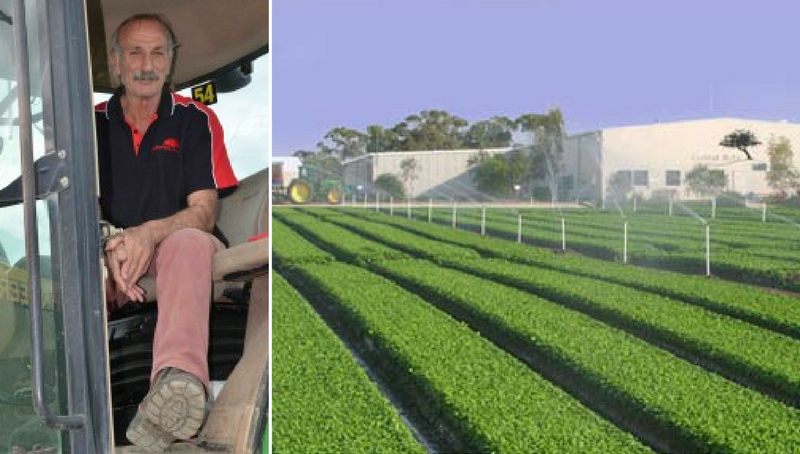 Coolibah Herbs