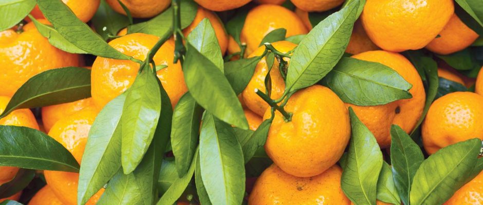 What's in season in May