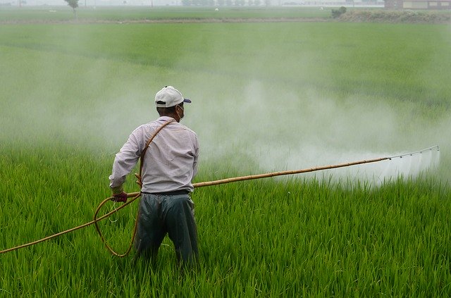 Organic Food is a ‘Human Right’, says leading food scientist