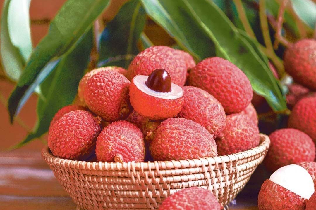 What’s in season in December?