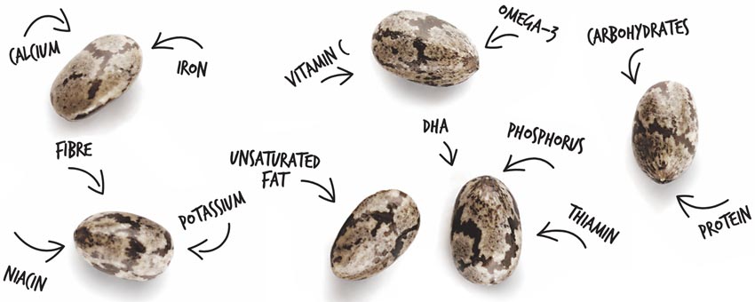 How many nutrients can a tiny superfood offer?